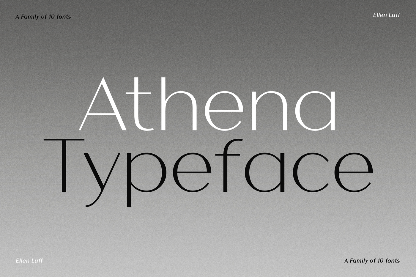 Athena Specimen