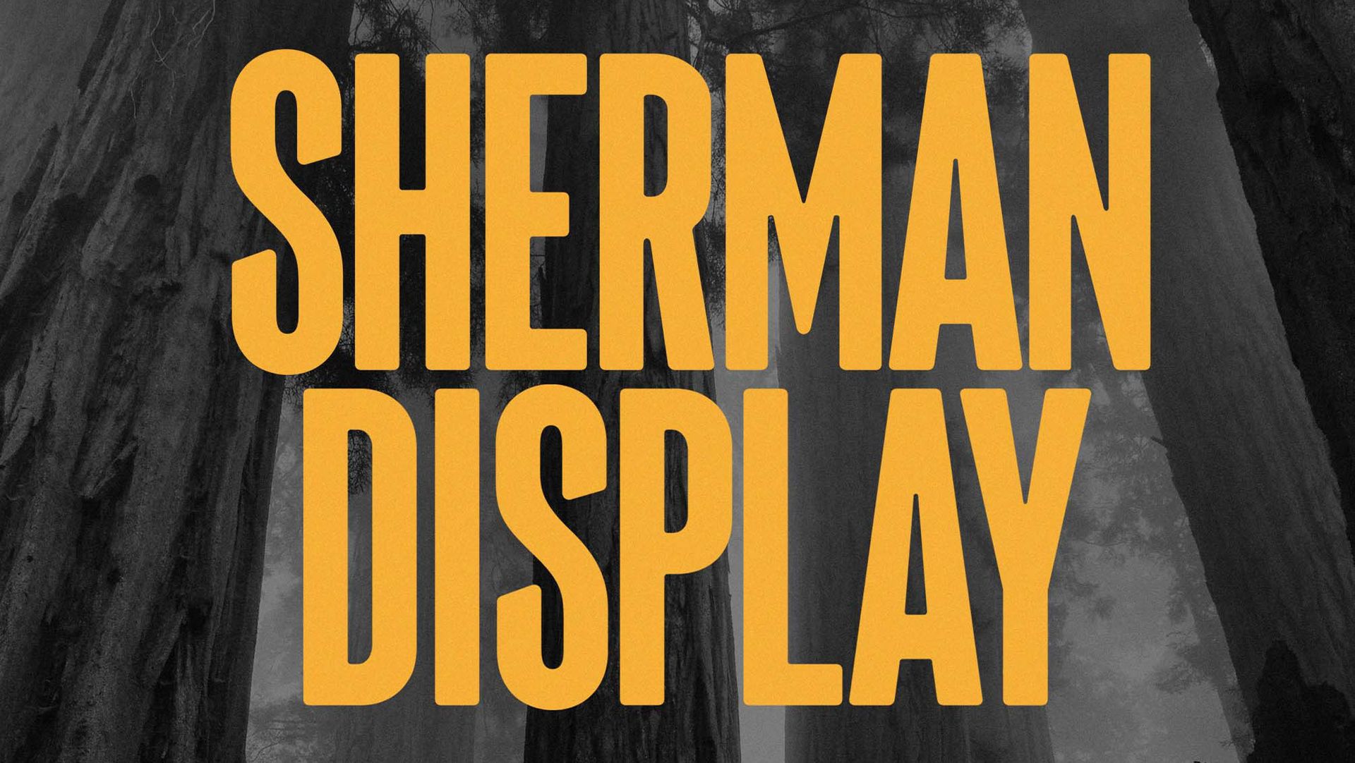 Sherman Display TypeFace